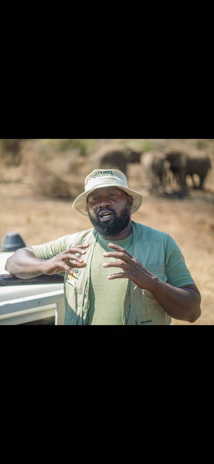 Safari 11