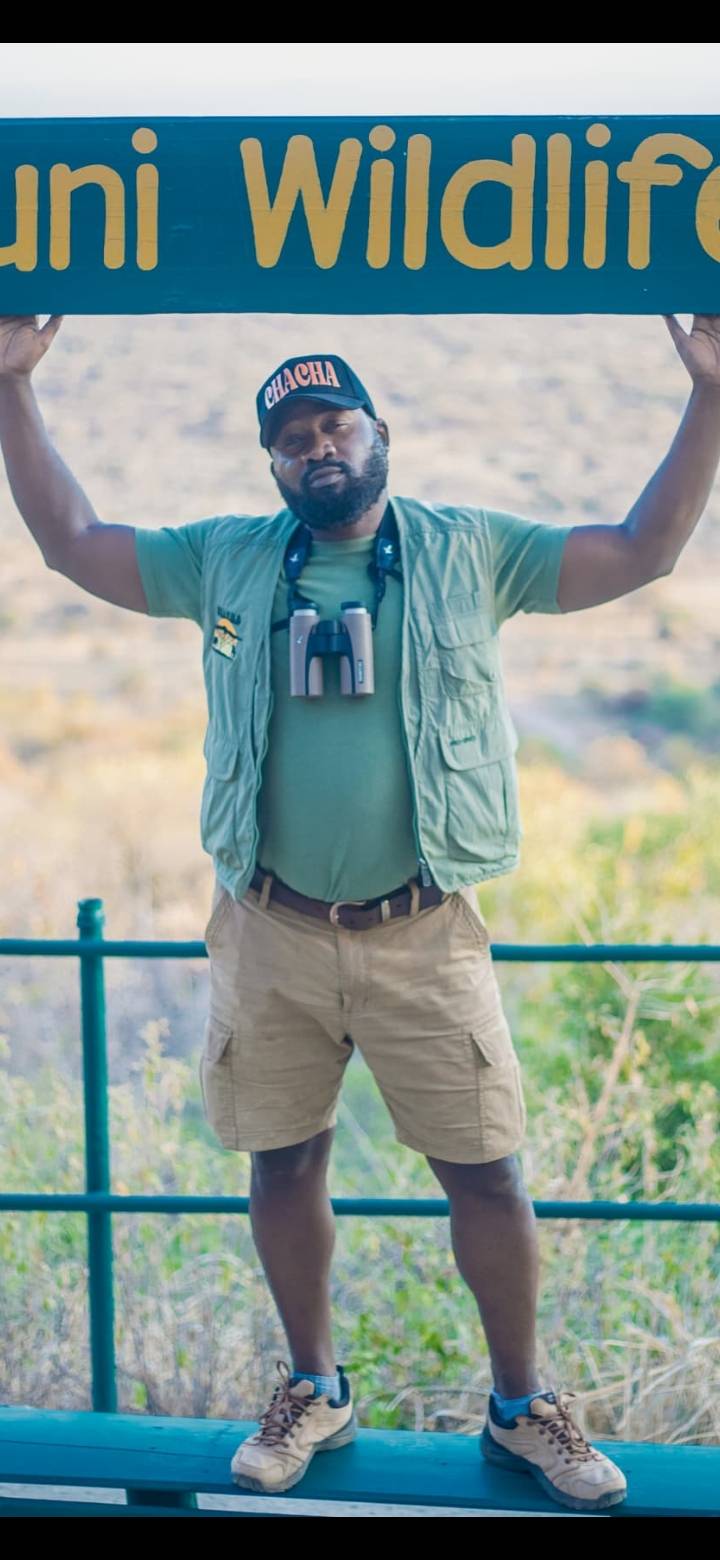 Safari 12