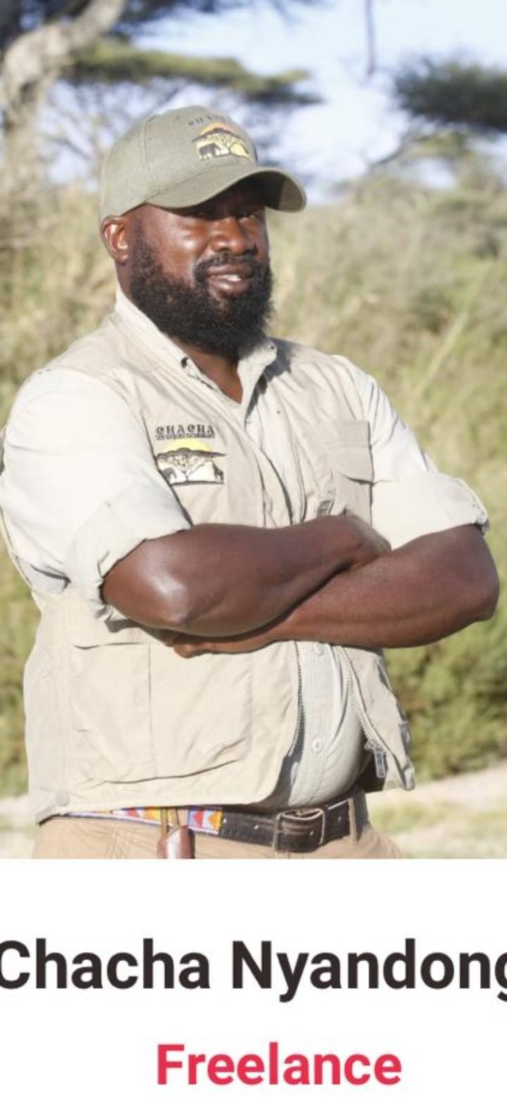 Safari 13