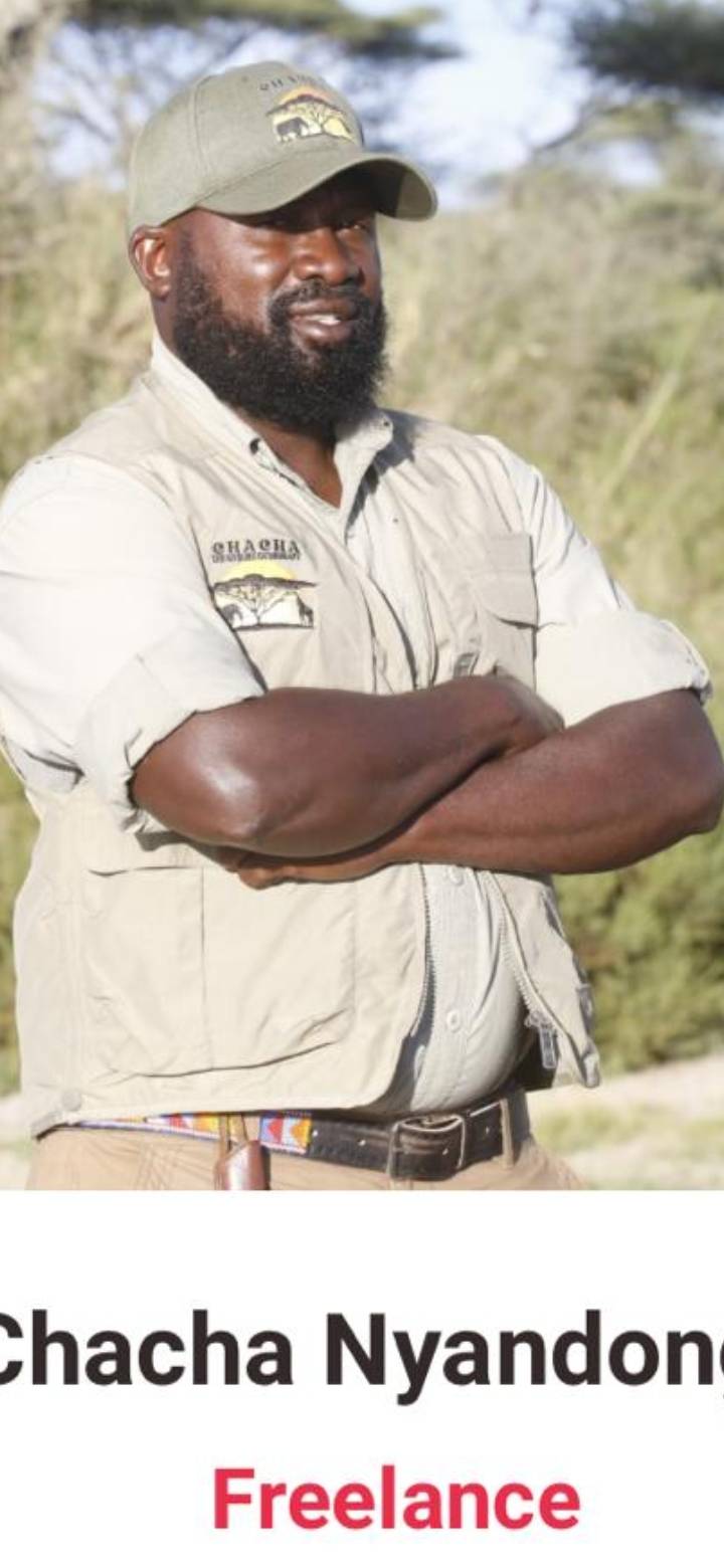 Safari 14