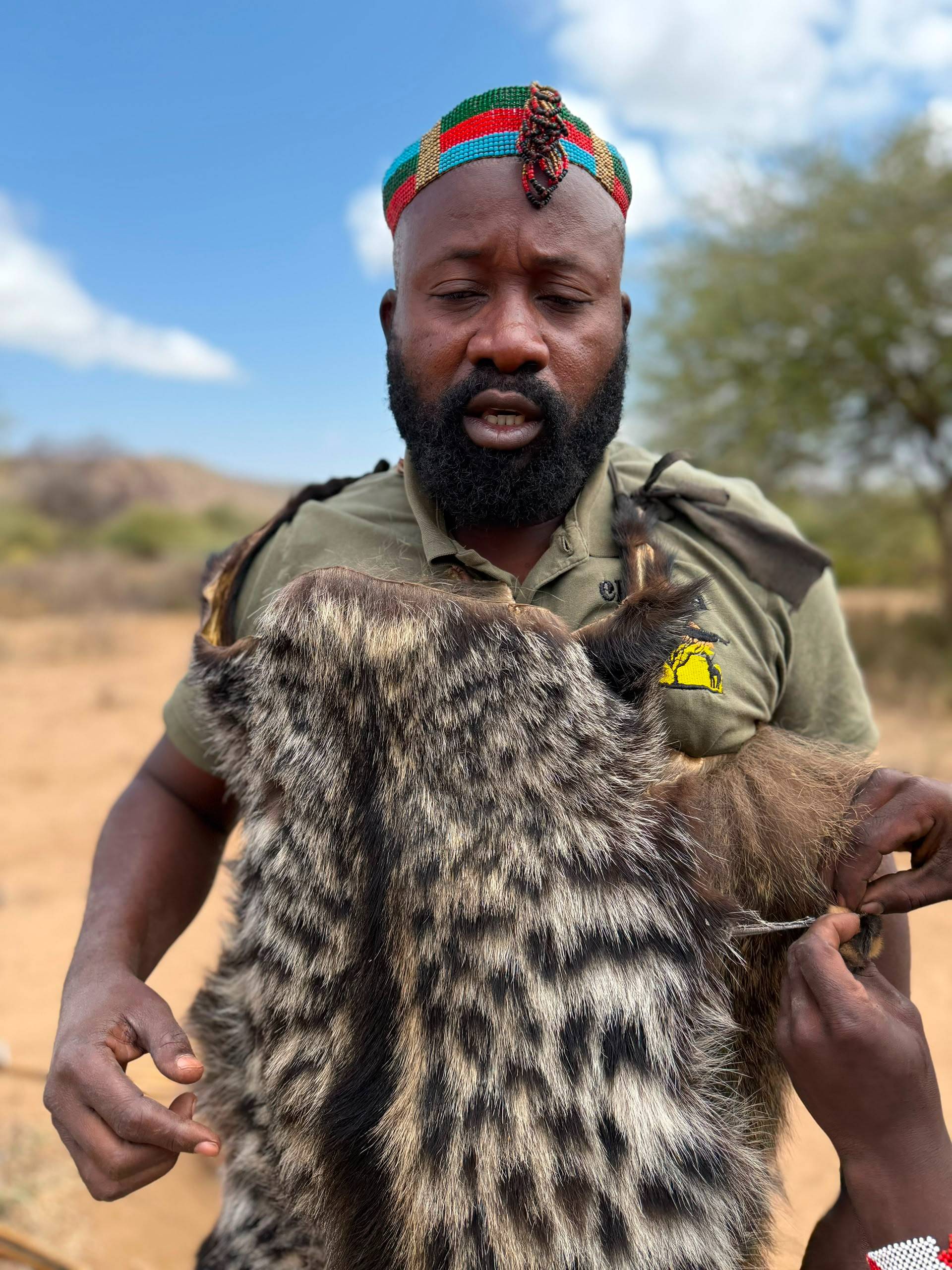 Safari 8